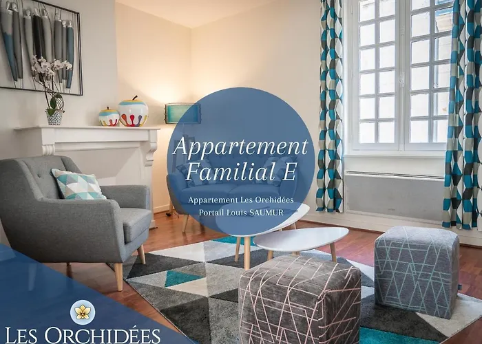 Appartements Les Orchidees Portail Louis Saumur